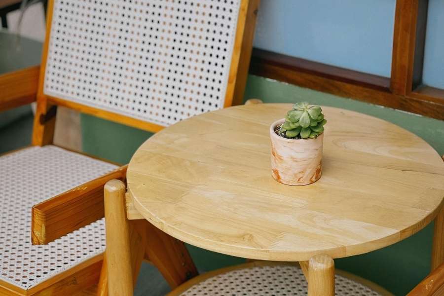 A small round old wooden table featuring a green succulent in a pot on top.