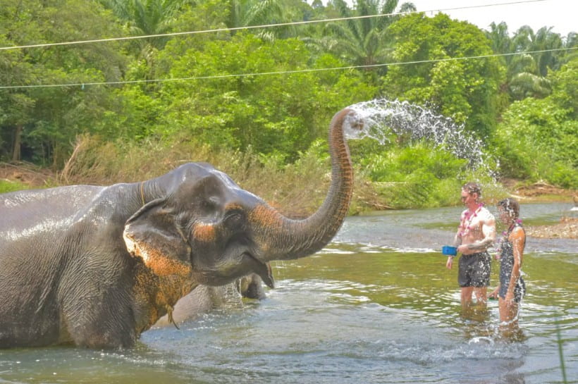 An elephant sprays water with its trunk while standing in a river next to two tourists in a lush jungle setting.